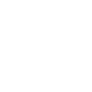 side menu item icon