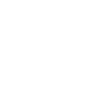 side menu item icon