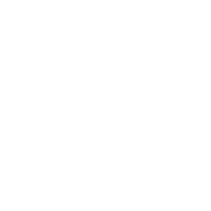 side menu item icon